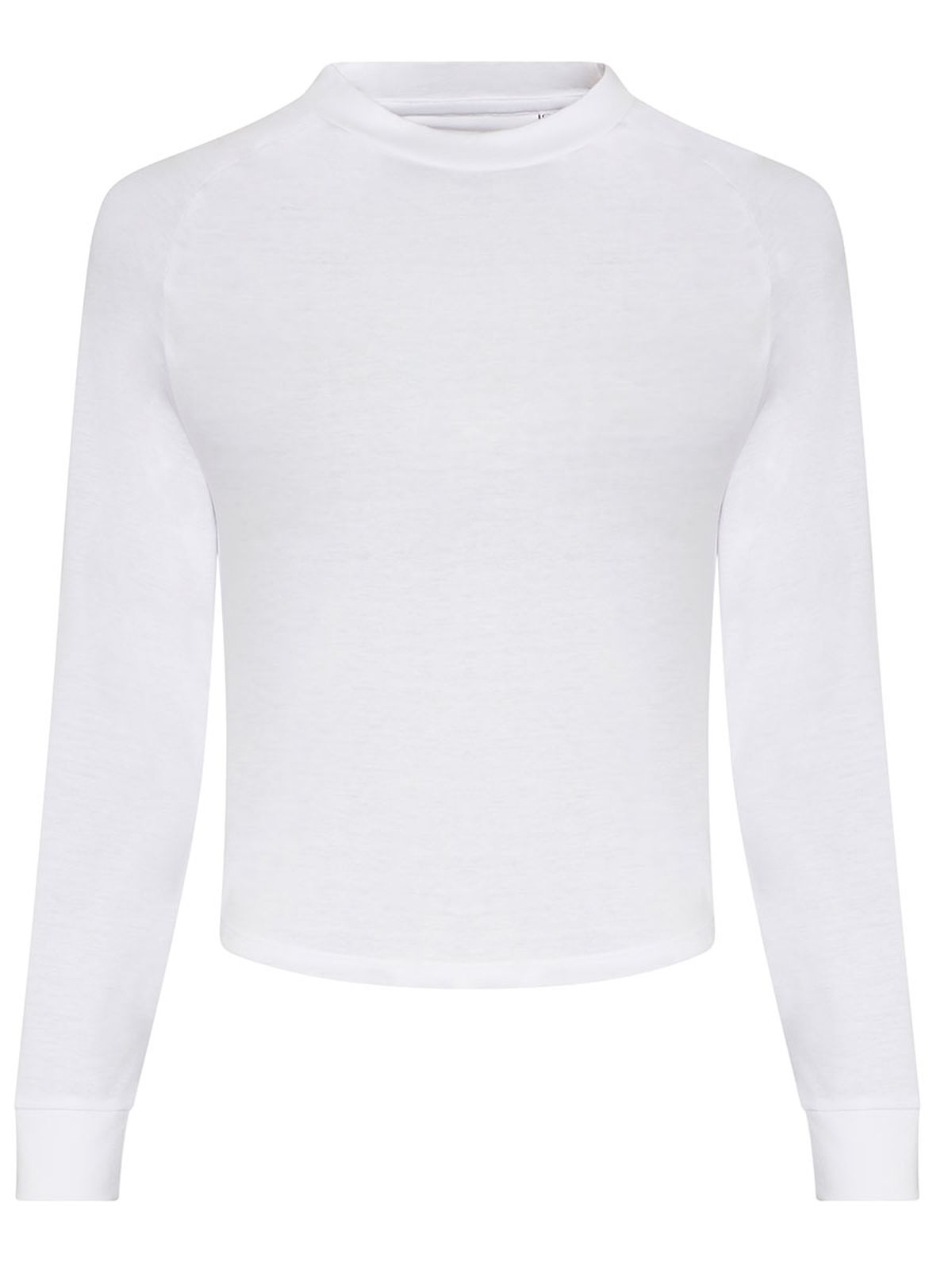 arctic white